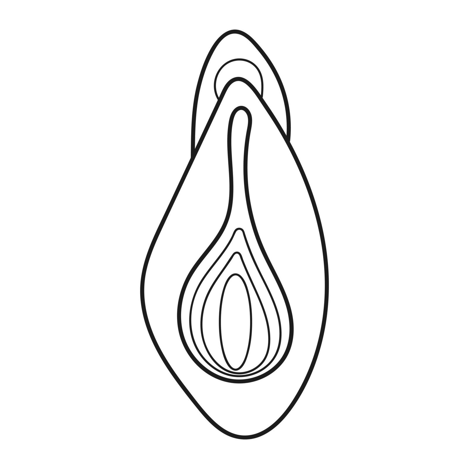 Anatomical diagram of the vulva — normal morphological diversity