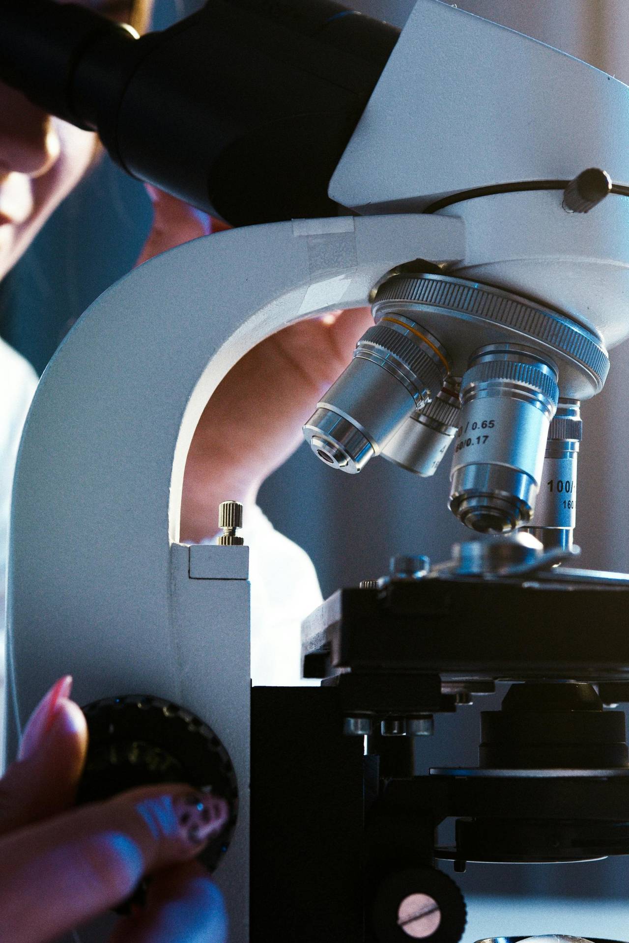 Anatomopathologie sénologique — l'examen qui pose le diagnostic définitif
