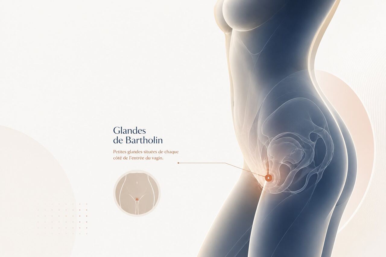 Consultation médicale entre une patiente et un gynécologue pour discuter de la prise en charge d'un kyste de la glande de Bartholin