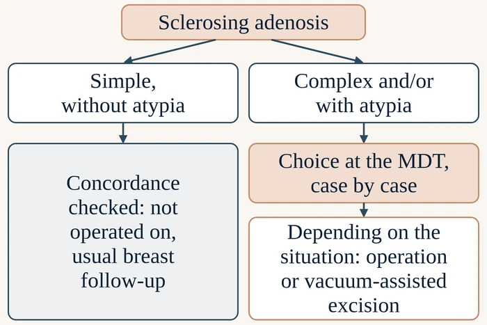 Decision diagram: simple sclerosing adenosis without atypia, concordance checked, no surgery, usual breast follow-up; complex and/or with atypia, decision at the multidisciplinary meeting case by case, depending on the situation surgery or vacuum-assisted excision.